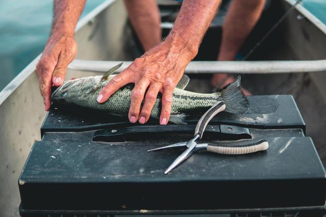 新生代钓鱼人的“装备竞赛”，装备是否最重要？